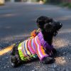 Cozy Critter Carnival