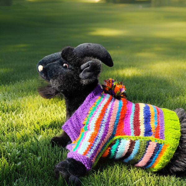 Cozy Critter Carnival