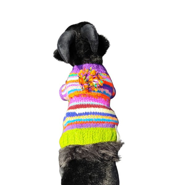 Cozy Critter Carnival