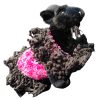 Glamour Petal Charm