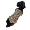Golden Paws Prestige