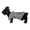 Golden Paws Prestige