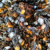 Close-up of metallic bouclé yarn in black, gold and silver