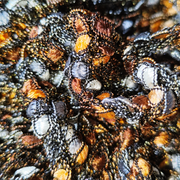 Close-up of metallic bouclé yarn in black, gold and silver