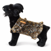 Black pet wearing a textured gold and silver ruffle sweater